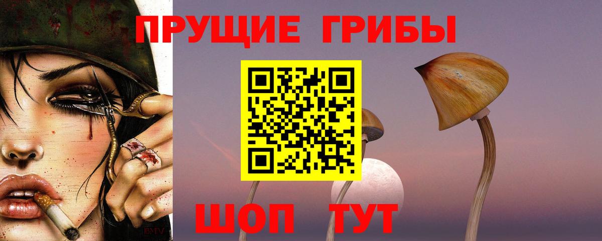 Галлюциногенные грибы Cubensis  купить   Карасук  Вход с VPN 